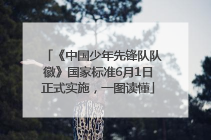 《中国少年先锋队队徽》国家标准6月1日正式实施，一图读懂