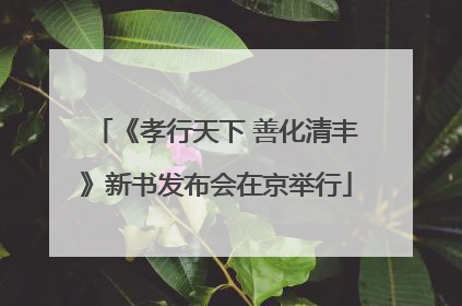 《孝行天下 善化清丰》新书发布会在京举行