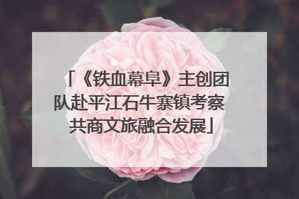 《铁血幕阜》主创团队赴平江石牛寨镇考察 共商文旅融合发展