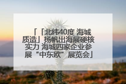 「北纬40度 海城质造」扬帆出海展硬核实力 海城四家企业参展“中东欧”展览会
