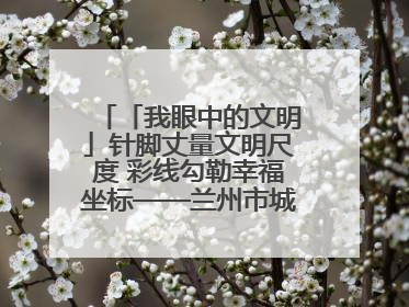 「我眼中的文明」针脚丈量文明尺度 彩线勾勒幸福坐标——兰州市城关区酒泉路街道办事处