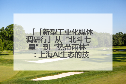 「新型工业化媒体调研行」从“北斗七星”到“热带雨林”：上海AI生态的技术商业共生密码