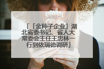 「金种子企业」湖北省委书记、省人大常委会主任王忠林一行到依瑞德调研