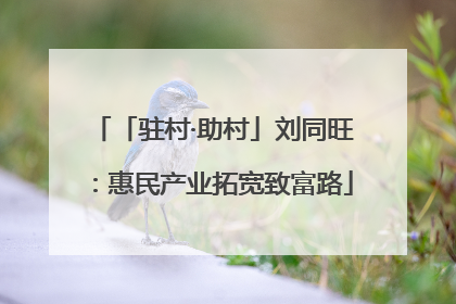 「驻村·助村」刘同旺：惠民产业拓宽致富路