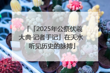 「2025年公祭伏羲大典·记者手记」在天水 听见历史的脉搏