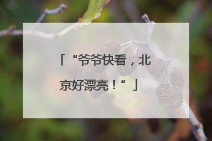 “爷爷快看，北京好漂亮！”