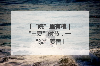 “皖”里有粮｜“三夏”时节，一“皖”麦香
