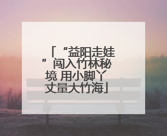 “益阳走娃”闯入竹林秘境 用小脚丫丈量大竹海