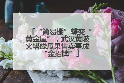 “简易棚”蝶变“黄金屋”，武汉黄陂火塔线瓜果售卖亭成“金招牌”
