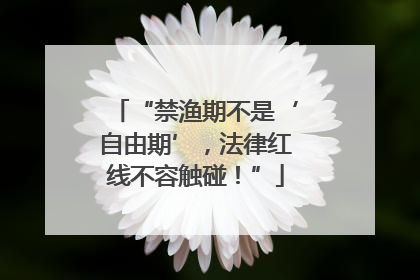 “禁渔期不是‘自由期’，法律红线不容触碰！”