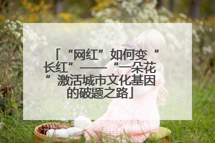 “网红”如何变“长红”——“一朵花”激活城市文化基因的破题之路