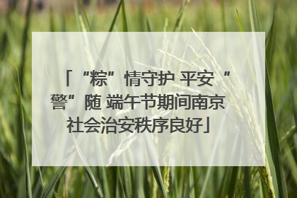 “粽”情守护 平安“警”随 端午节期间南京社会治安秩序良好