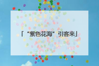 “紫色花海”引客来