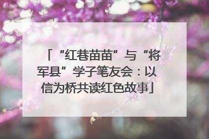 “红巷苗苗”与“将军县”学子笔友会：以信为桥共读红色故事