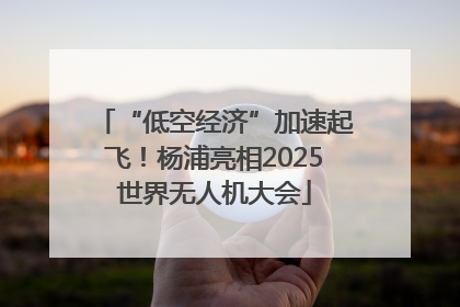 “低空经济”加速起飞！杨浦亮相2025世界无人机大会