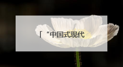 “中国式现代化的万千气象”网络名人安徽行活动走进休宁