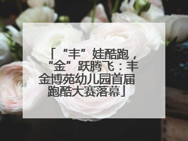 “丰”娃酷跑，“金”跃腾飞：丰金博苑幼儿园首届跑酷大赛落幕