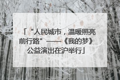 “人民城市，温暖照亮前行路”——《我的梦》公益演出在沪举行