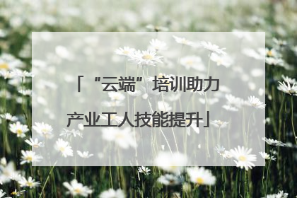 “云端”培训助力产业工人技能提升