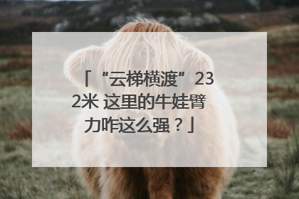 “云梯横渡”232米 这里的牛娃臂力咋这么强？