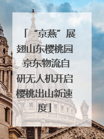 “京燕”展翅山东樱桃园 京东物流自研无人机开启樱桃出山新速度