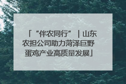 “伴农同行”｜山东农担公司助力菏泽巨野蛋鸡产业高质量发展