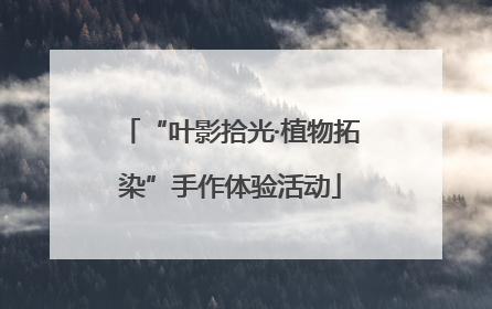 “叶影拾光·植物拓染”手作体验活动