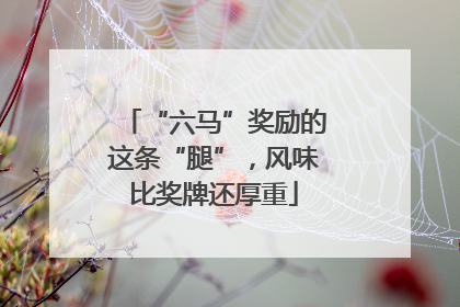 “六马”奖励的这条“腿”，风味比奖牌还厚重
