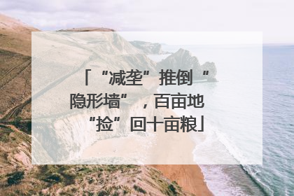 “减垄”推倒“隐形墙”，百亩地“捡”回十亩粮