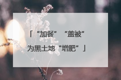 “加餐”“盖被” 为黑土地“增肥”