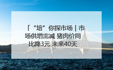 “培”你探市场｜市场供增需减 猪肉价同比降3元 未来40天便宜猪肉敞开吃
