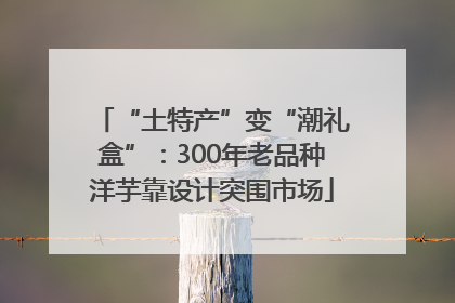 “土特产”变“潮礼盒”：300年老品种洋芋靠设计突围市场