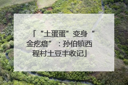 “土蛋蛋”变身“金疙瘩”：孙伯镇西程村土豆丰收记