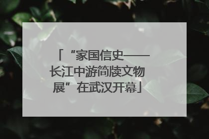 “家国信史——长江中游简牍文物展”在武汉开幕