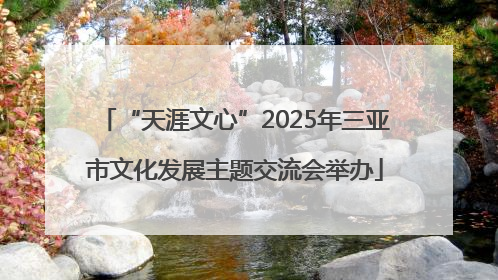 “天涯文心”2025年三亚市文化发展主题交流会举办
