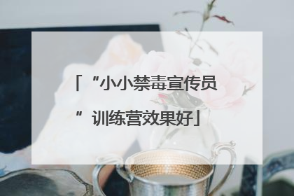 “小小禁毒宣传员”训练营效果好