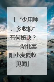 “少用种、多收粮”有何秘诀？——湖北襄阳小麦夏收见闻