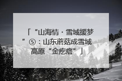 “山海情・雪域援梦”⑤：山东蘑菇成雪域高原“金疙瘩”