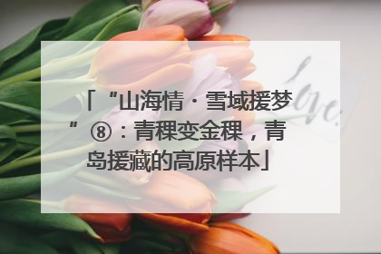 “山海情・雪域援梦”⑧：青稞变金稞，青岛援藏的高原样本