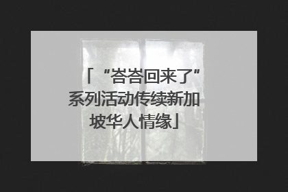 “峇峇回来了”系列活动传续新加坡华人情缘