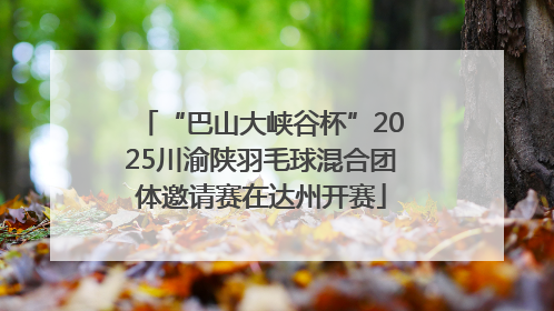 “巴山大峡谷杯”2025川渝陕羽毛球混合团体邀请赛在达州开赛