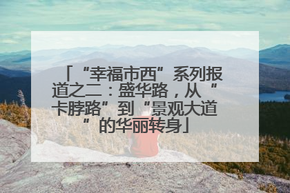 “幸福市西”系列报道之二：盛华路，从“卡脖路”到“景观大道”的华丽转身