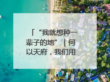 “我就想种一辈子的地”｜何以天府，我们用粮食作答②