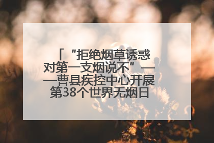 “拒绝烟草诱惑 对第一支烟说不”——曹县疾控中心开展第38个世界无烟日科普宣传活动
