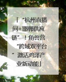 “杭州直播间+邯郸供应链”！角兽营“跨域双平台”激活鸡泽产业新动能