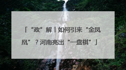 “政”解丨如何引来“金凤凰”？河南亮出“一盘棋”