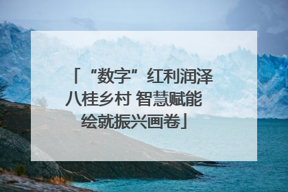 “数字”红利润泽八桂乡村 智慧赋能绘就振兴画卷