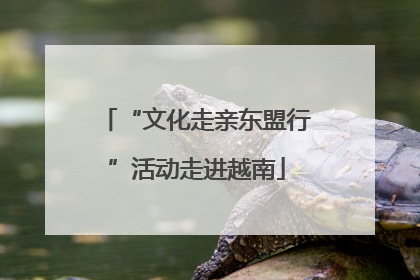 “文化走亲东盟行”活动走进越南