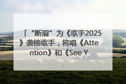 “断眉”为《歌手2025》袭榜歌手，将唱《Attention》和《See You Again》