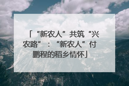 “新农人”共筑“兴农路”：“新农人”付鹏程的稻乡情怀
